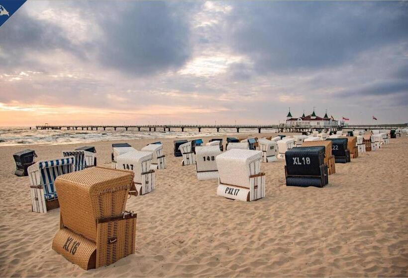 Ahlbeck Remise Uppsala