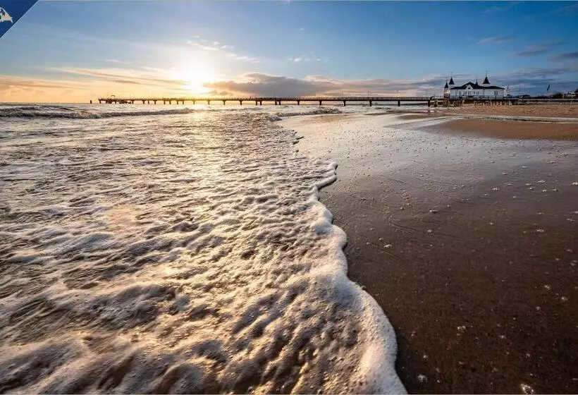 Ahlbeck Remise Uppsala