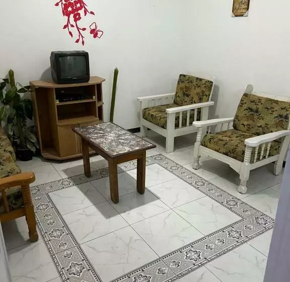 هاستل Dareen
