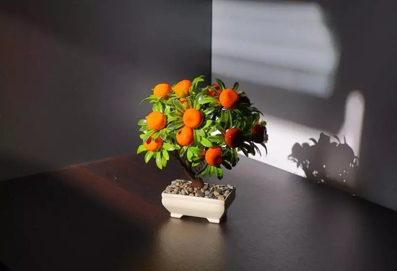 هاستل Konak Kod Hame