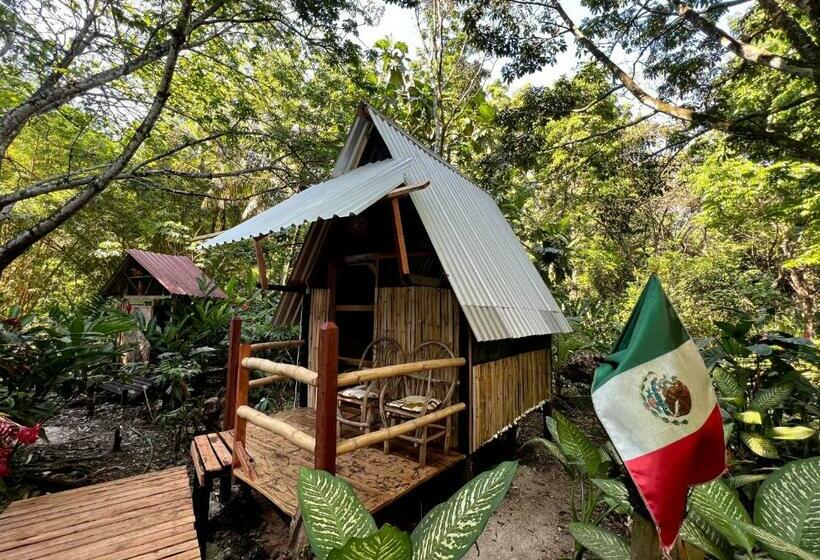 پانسیون Cabañas Bambután