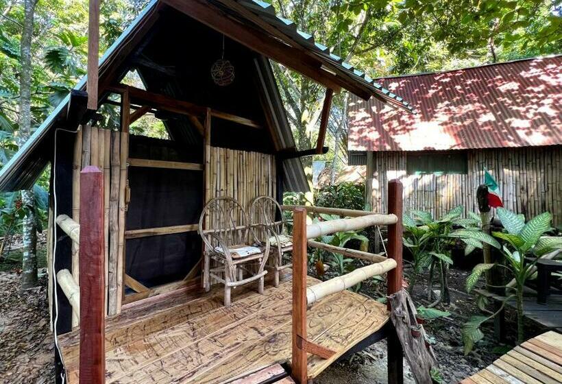 پانسیون Cabañas Bambután