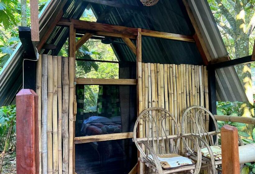 پانسیون Cabañas Bambután