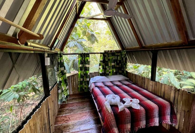 پانسیون Cabañas Bambután