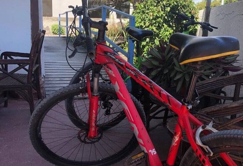 بنسيون Hostal Las Gardenias