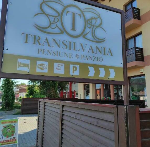 Pensiunea Transilvania