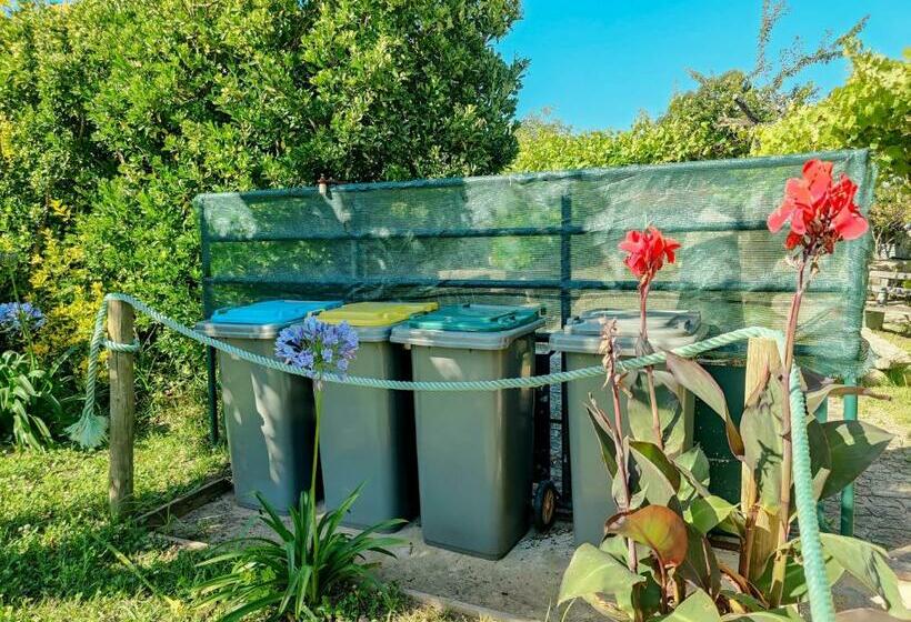 酒店 Casa Do Casal Country House With Swimming Pool