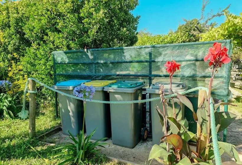 هتل Casa Do Casal   Country House With Swimming Pool