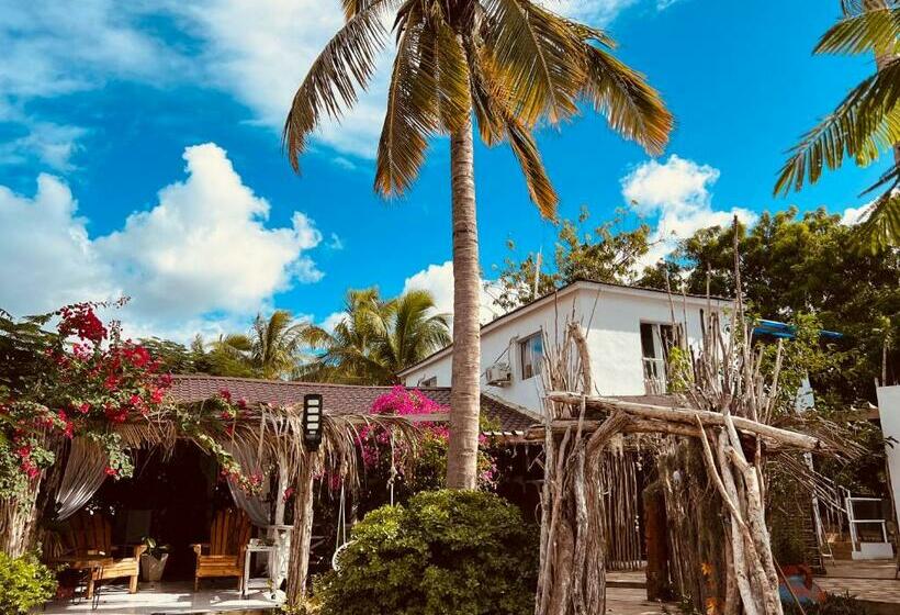 Bluemare Ecohotel Frente A La Playa Ensendada