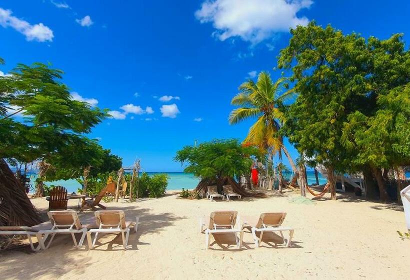 Bluemare Ecohotel Frente A La Playa Ensendada