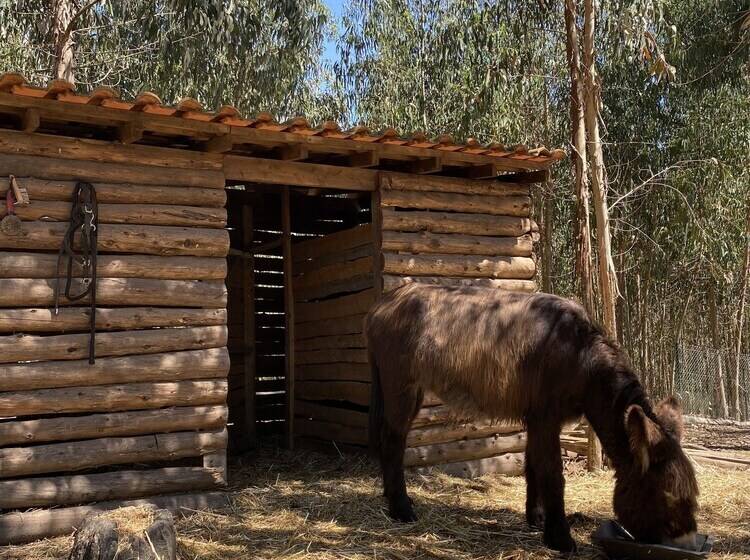 호텔 Quintinha Silvestre