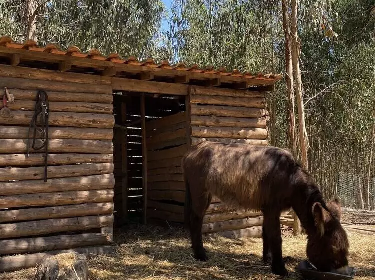 ホテル Quintinha Silvestre