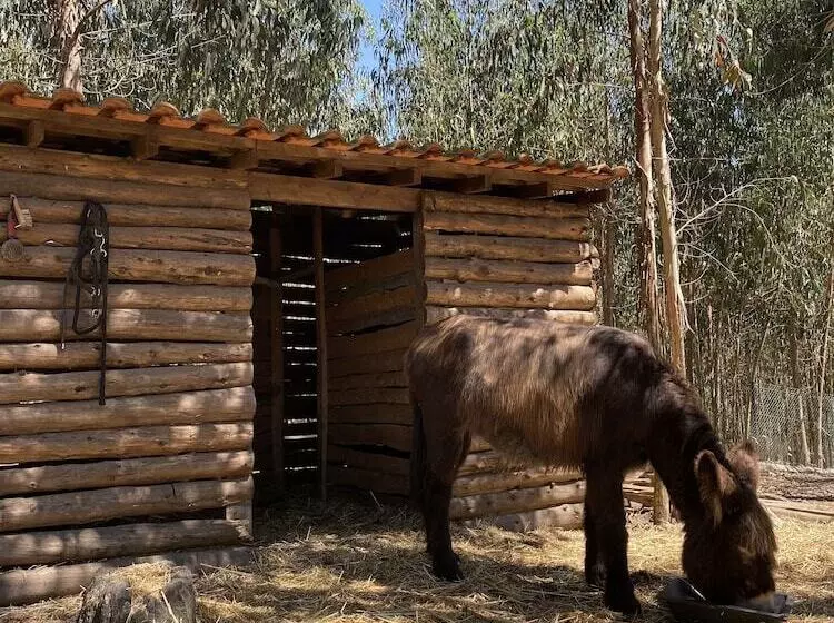 ホテル Quintinha Silvestre