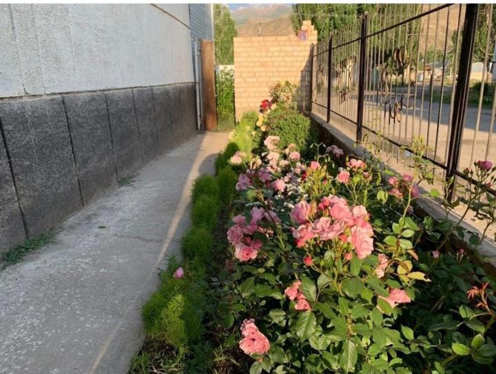 پانسیون Baktygul Guesthouse