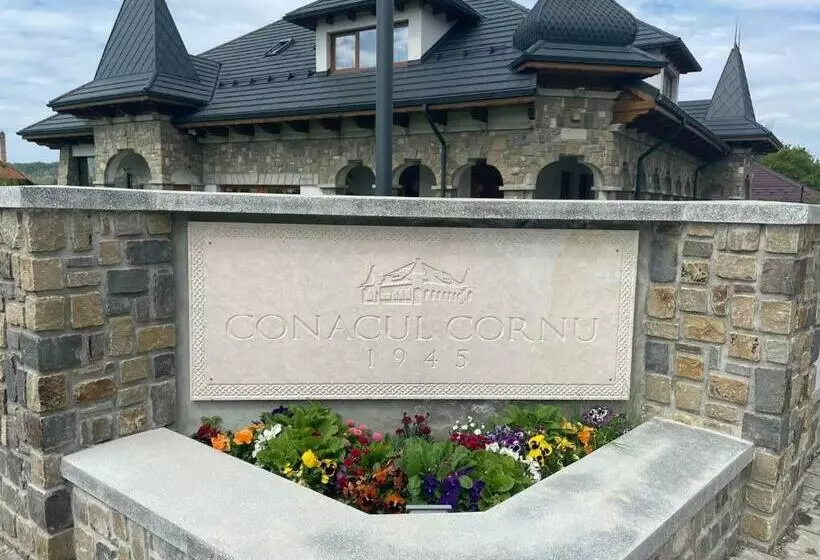 ペンション Conacul Cornu 1945