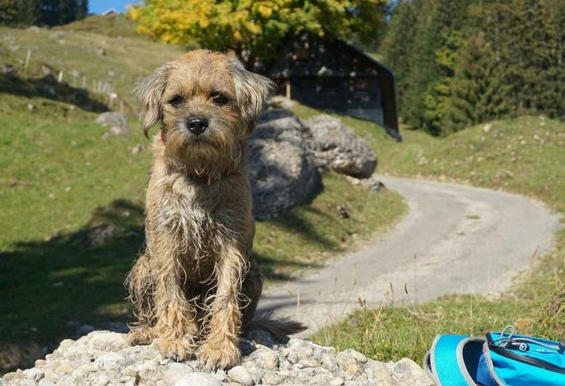 Отель Biohof Burger, 3 Sonnige Fewo, Alle Mit Balkon, Spielzimmer, Grillhütte, 7 Km Vor Oberstdorf