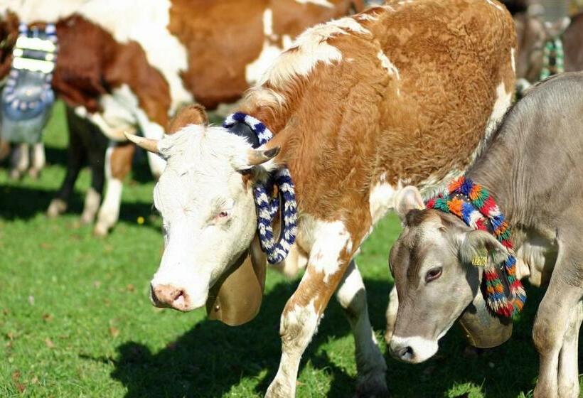 Отель Biohof Burger, 3 Sonnige Fewo, Alle Mit Balkon, Spielzimmer, Grillhütte, 7 Km Vor Oberstdorf