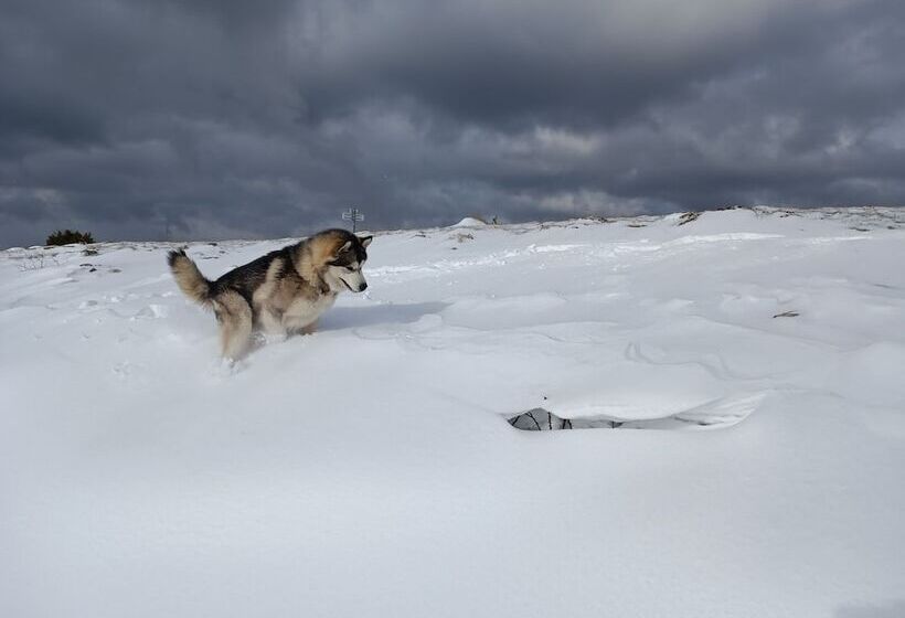 Отель Restaurant L Oree Du Vercors