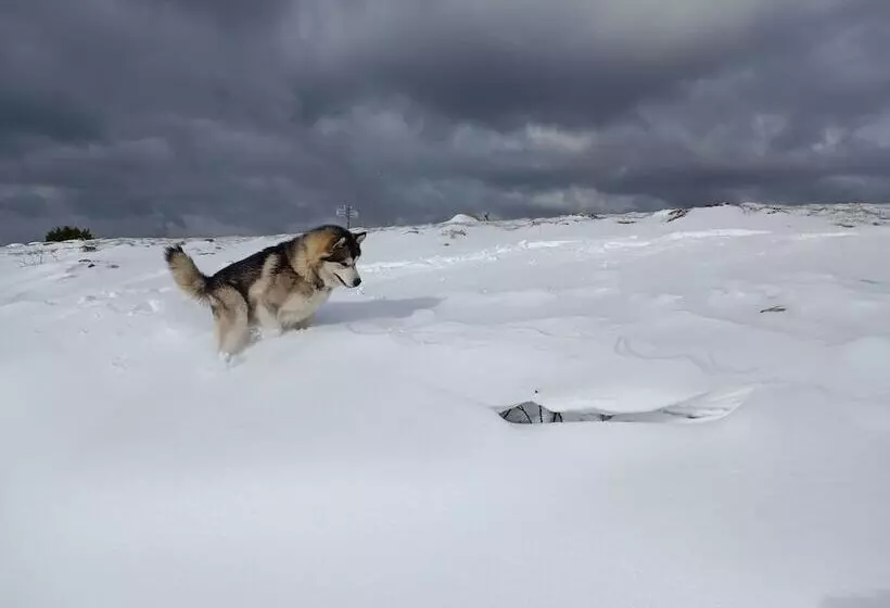 ホテル Restaurant L Oree Du Vercors