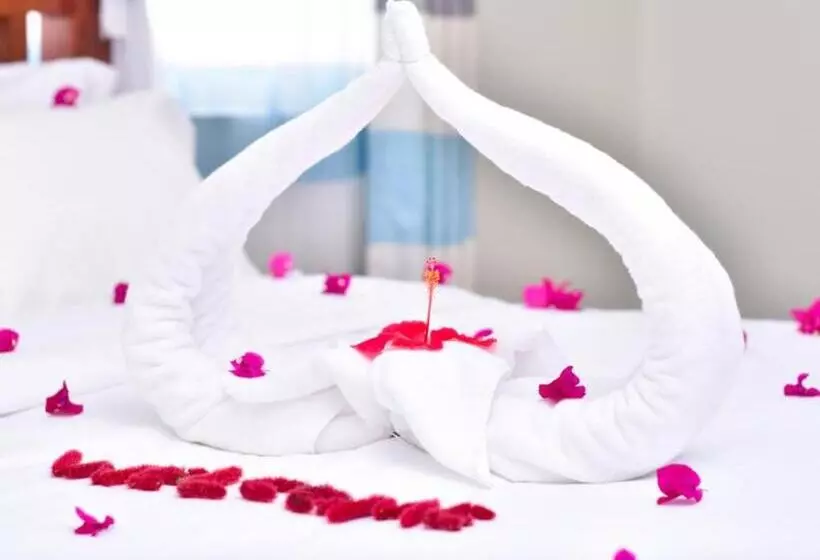 پانسیون Room In Bb   Sea Crest Hotel Zanzibar   2