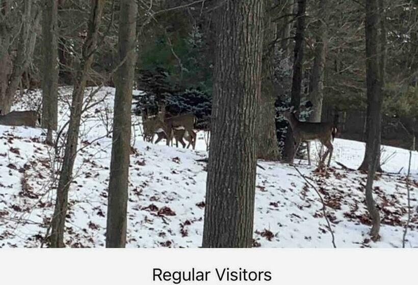 Indoor Pool Near Grand Haven With Lake Michigan Beach!