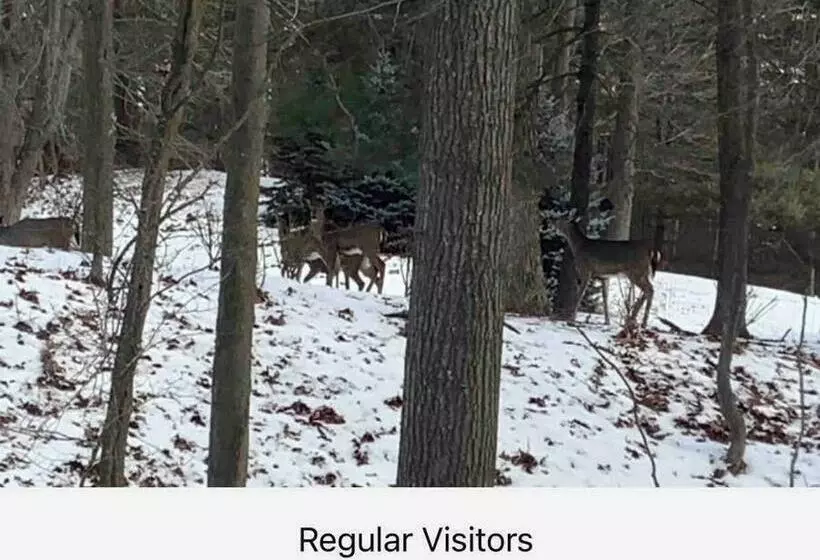 Indoor Pool Near Grand Haven With Lake Michigan Beach!