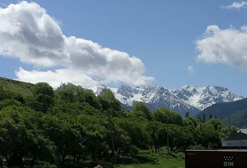 膳宿费 Turan Guesthouse