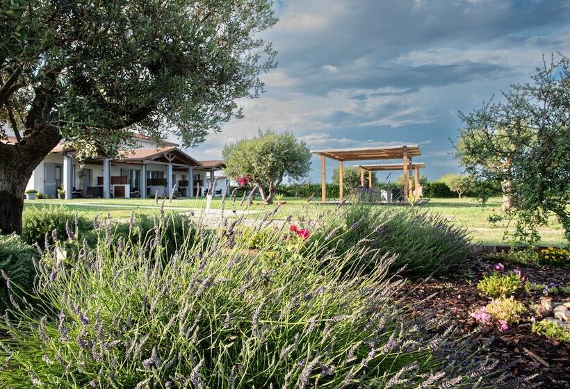 Residence Pace & Relax