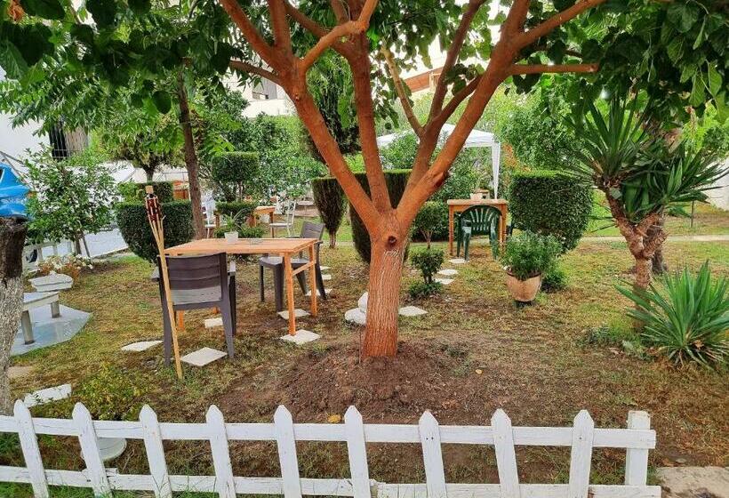 膳宿费 Guest House Vila Elezi