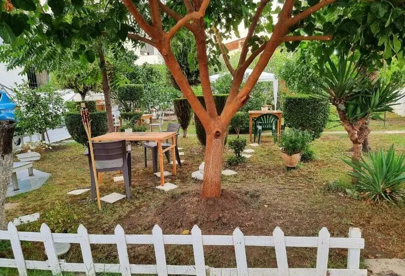 پانسیون Guest House Vila Elezi