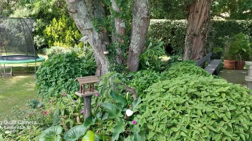 پانسیون Protea Manor