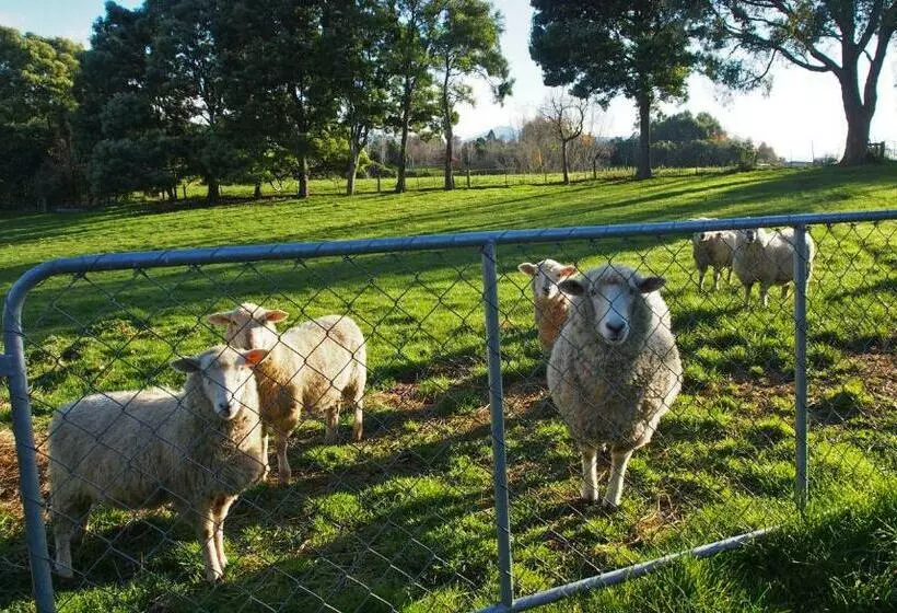 Aamiaismajoitus (B&B) Kotare Bandb