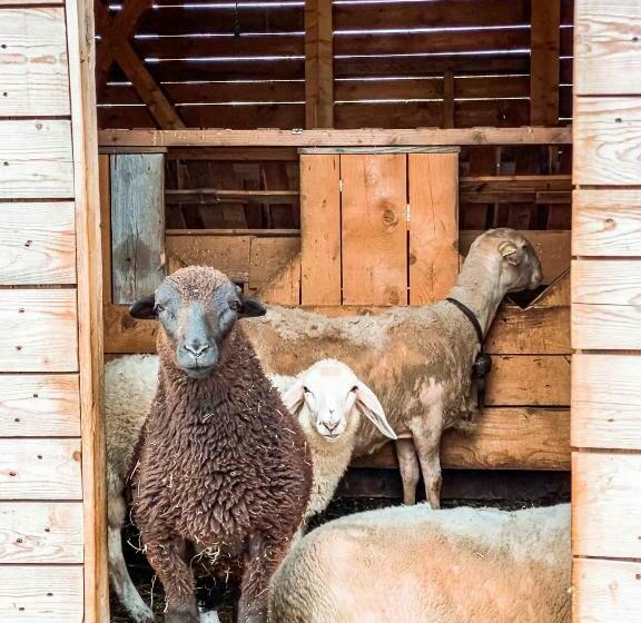 Hotel Agriturismo Dal Perotin