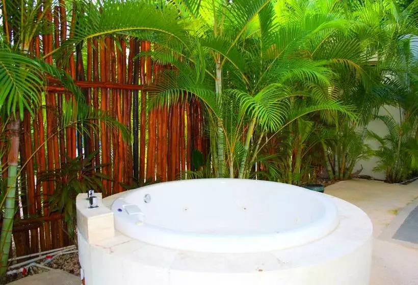 Puerta Zama Luxury Apartments