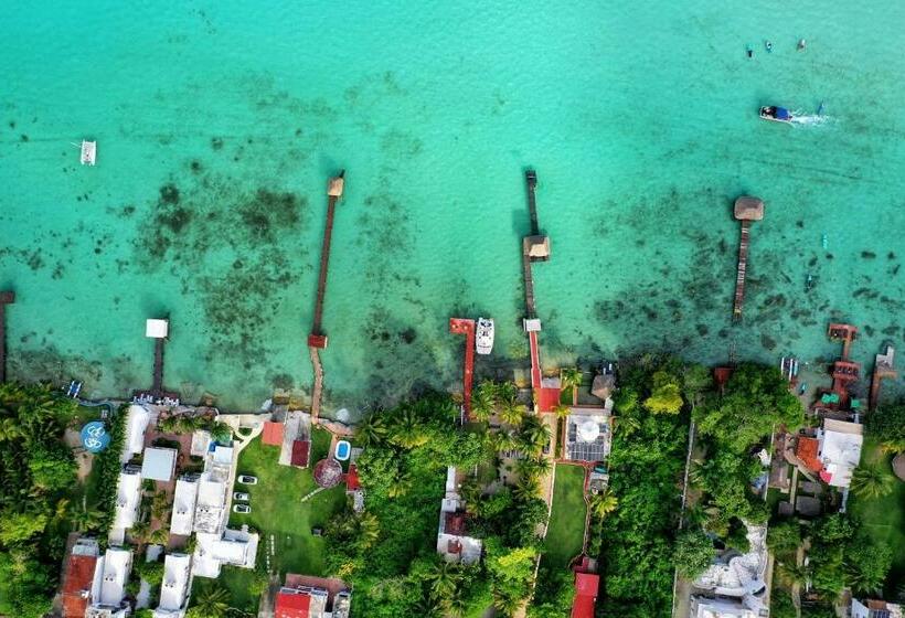 Bed & Breakfast Tortuga Bacalar