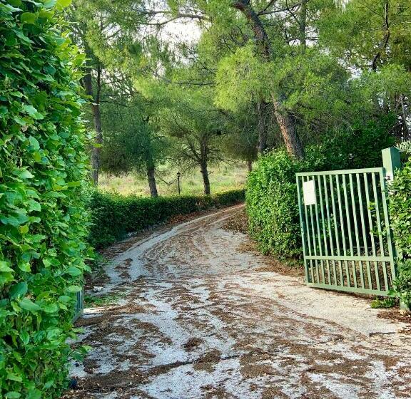 酒店 Torre Del Gallo