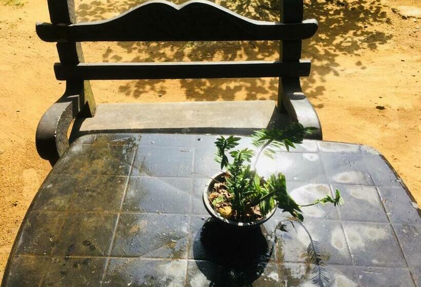 Bed and Breakfast Jungle Book Udawalawa