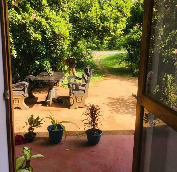 Bed and Breakfast Jungle Book Udawalawa