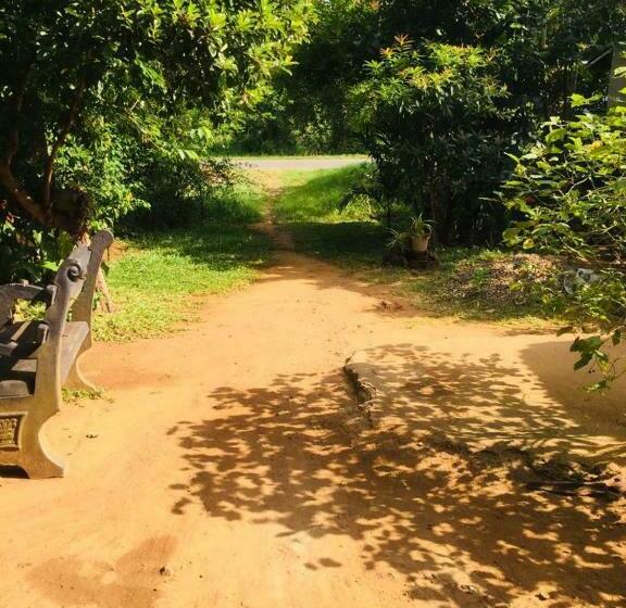 Bed and Breakfast Jungle Book Udawalawa