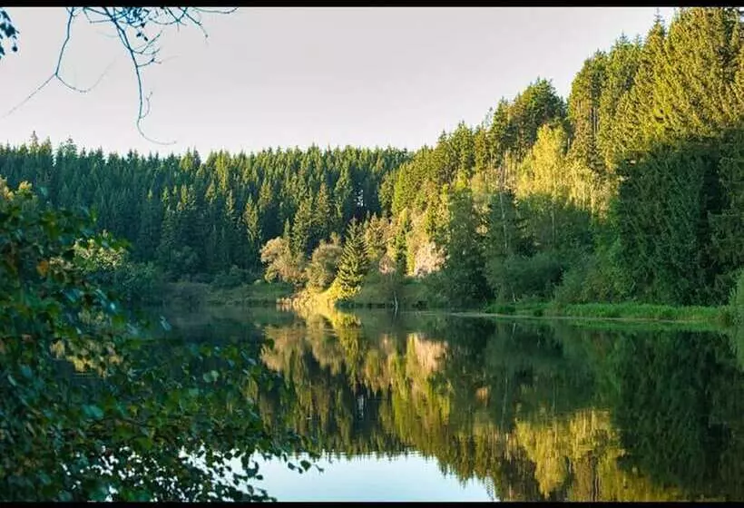 The House To Stay For Holidays