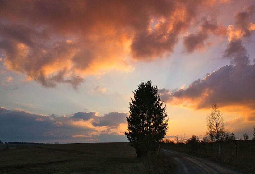 The House To Stay For Holidays