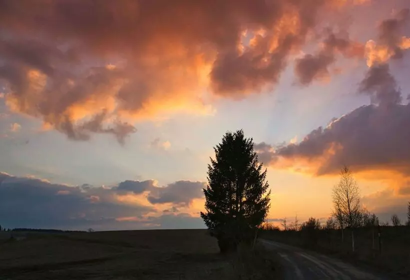 The House To Stay For Holidays