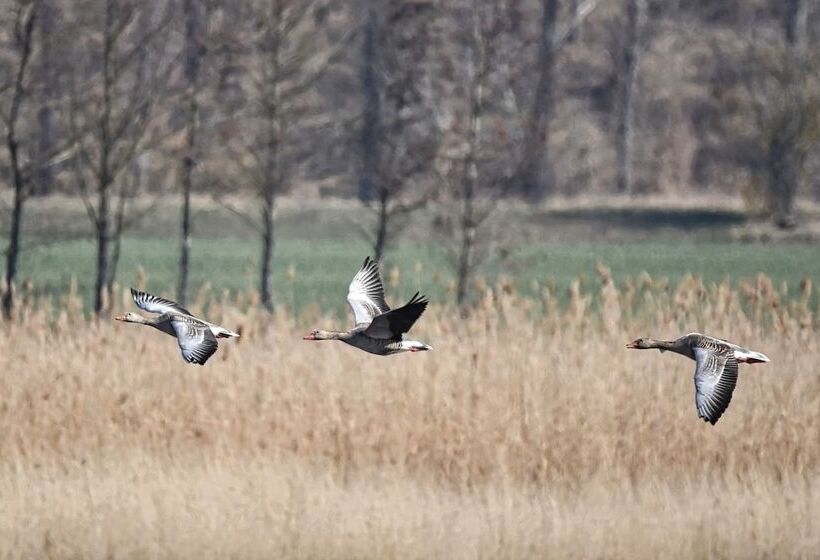 The House To Stay For Holidays