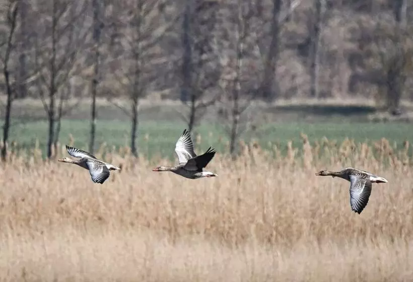 The House To Stay For Holidays