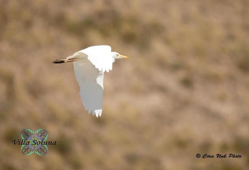 مبيت وإفطار Villa Soluna