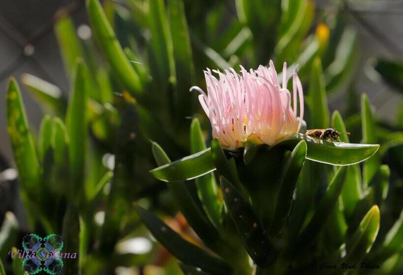 مبيت وإفطار Villa Soluna