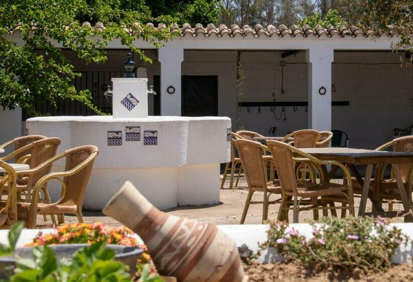 Отель Hacienda La Divertida