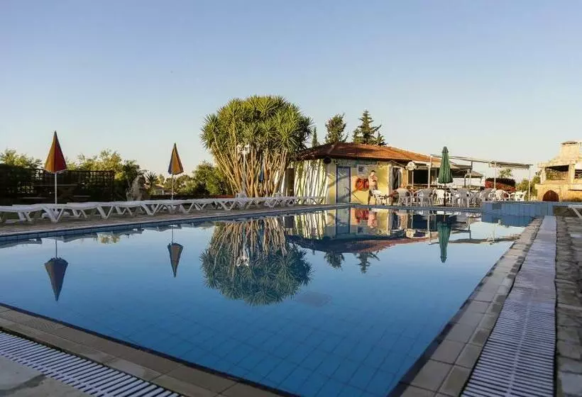 هتل Seaview Apartments