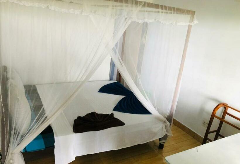 בית מלון כפרי Surfers Paradise