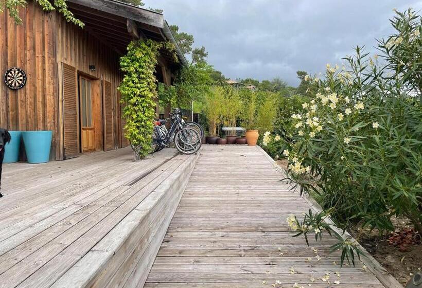 פנסיון Chambre D Hôtes Village Petit Piquey